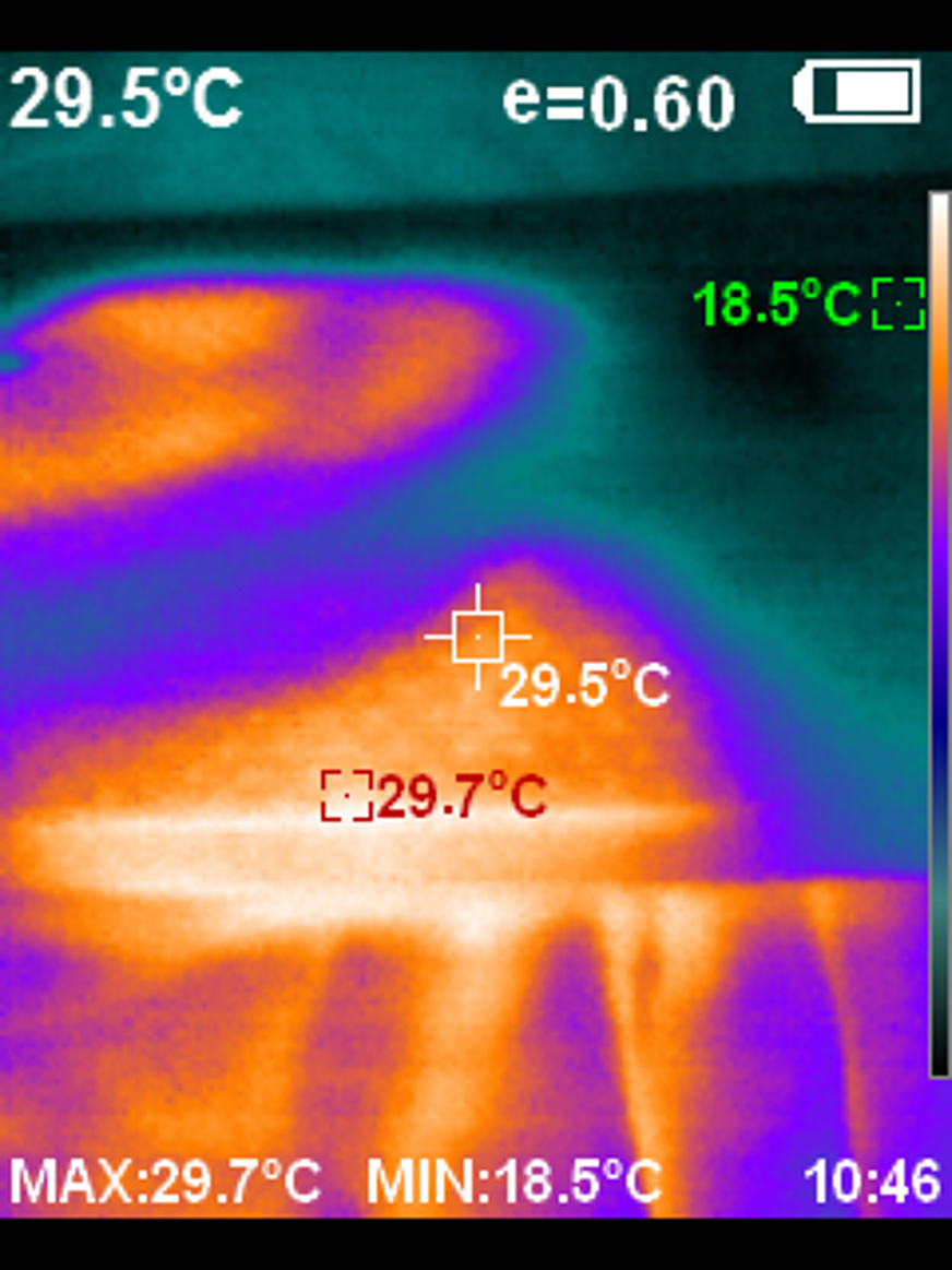 emma pillow thermal camera
